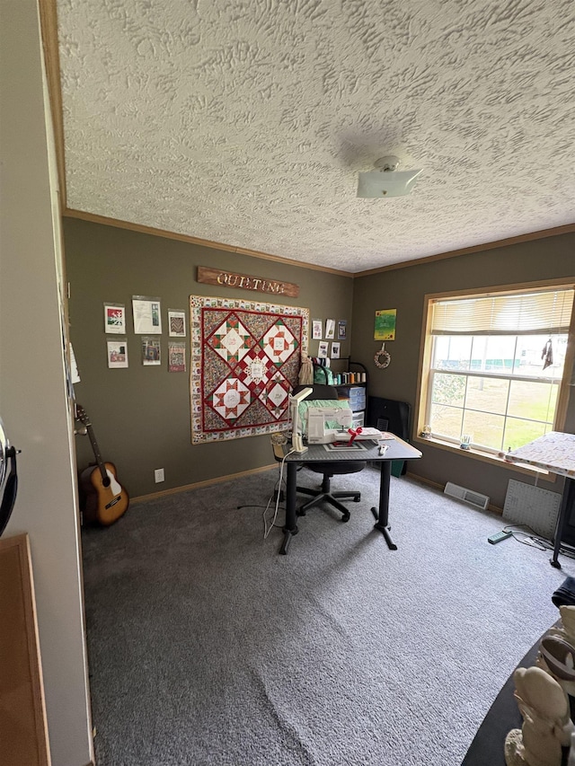 9233 Gary Rd, Chesaning, MI 48616 - carpeted home office with a textured ceiling and crown molding