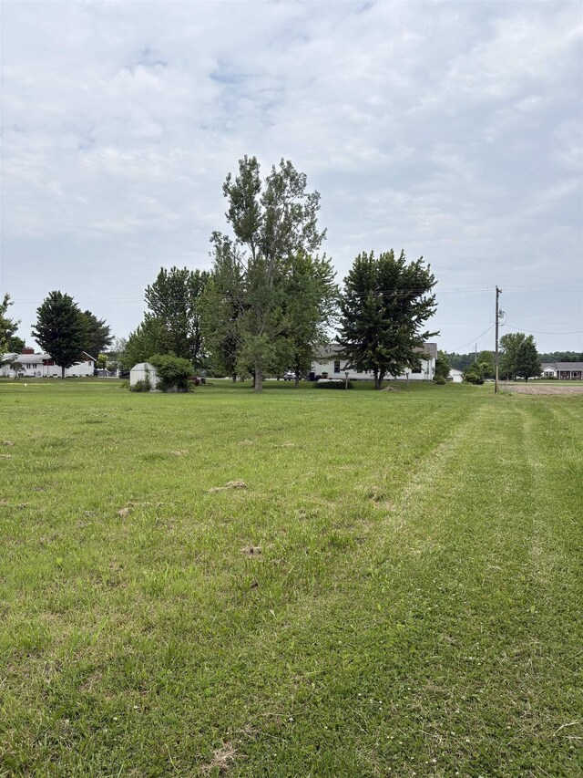 9233 Gary Rd, Chesaning, MI 48616 - view of grassy yard