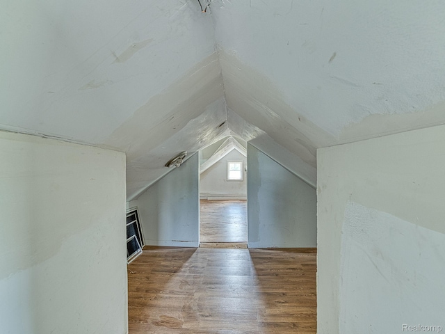 1309 Wood St, Monroe, MI 48161 - additional living space with wood finished floors, lofted ceiling, and a fireplace