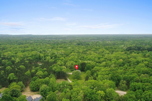 11888 Many Oaks Dr, Interlochen, MI 49643
