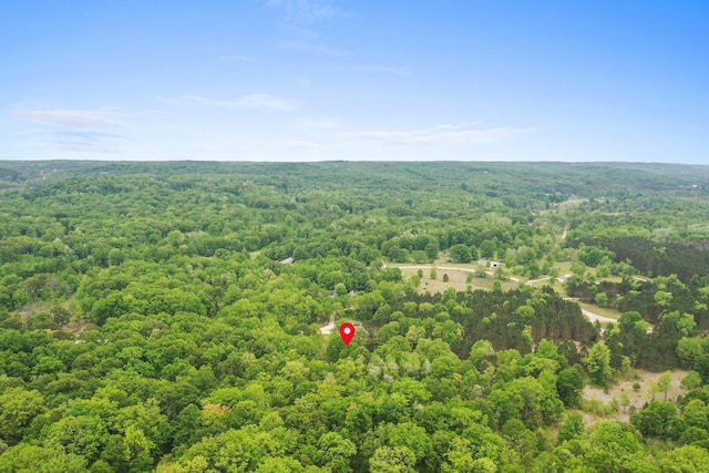 11888 Many Oaks Dr, Interlochen, MI 49643