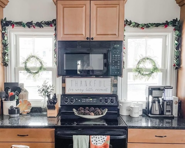 307 N Jefferson St SE, Lowell, MI 49331 - kitchen featuring black appliances, healthy amount of natural light, and dark stone countertops