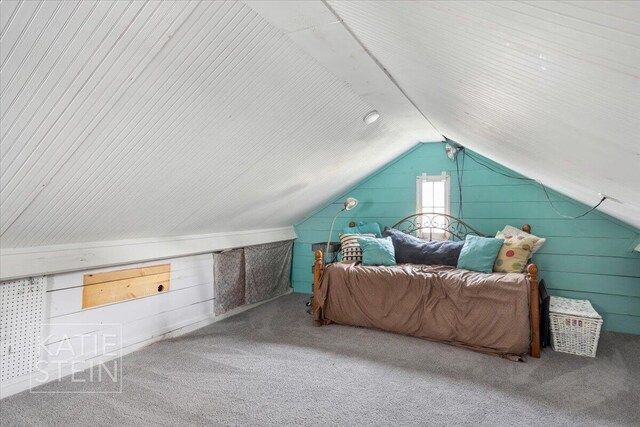 859 Orchard Ave SE, East Grand Rapids, MI 49506 - photo 52