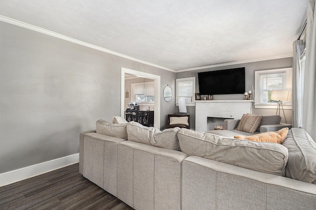 1248 Fisk Rd SE, Grand Rapids, MI 49506 - living area featuring dark wood finished floors, crown molding, and a fireplace