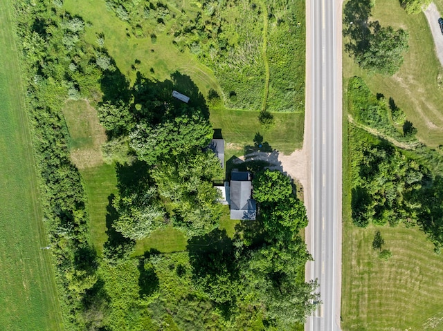 5584 W Monroe Rd, Tipton, MI 49287 - photo 50