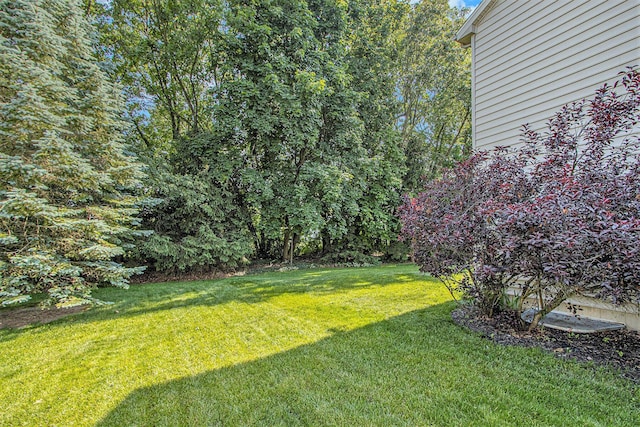 7853 Clydesdale Ave, Kalamazoo, MI 49009 - view of grassy yard