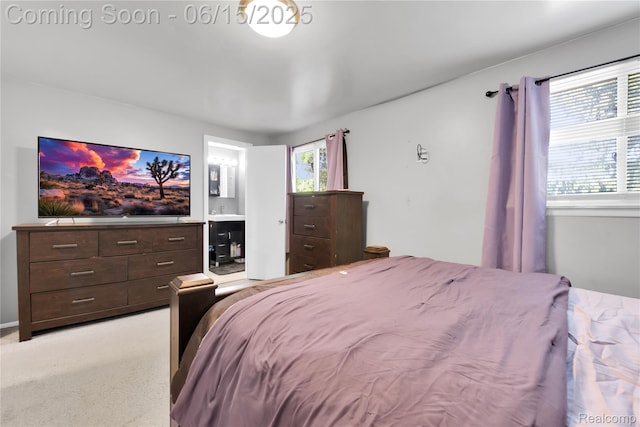29464 Marshall St, Southfield, MI 48076 - bedroom featuring ensuite bath