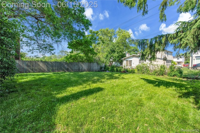 29464 Marshall St, Southfield, MI 48076 - view of yard