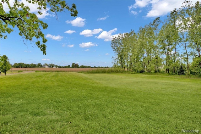 726 Brown City Rd, Imlay City, MI 48444 - photo 21