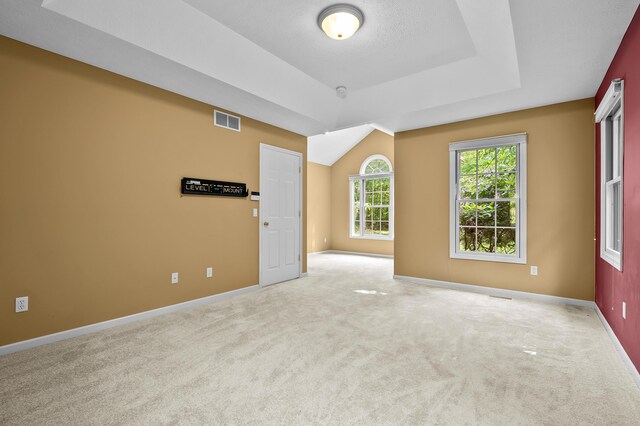 6916 Windsong Way, Kalamazoo, MI 49009 - carpeted spare room with baseboards and a raised ceiling