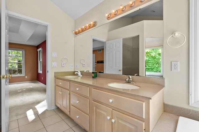 6916 Windsong Way, Kalamazoo, MI 49009 - bathroom with double vanity, plenty of natural light, and tile patterned floors