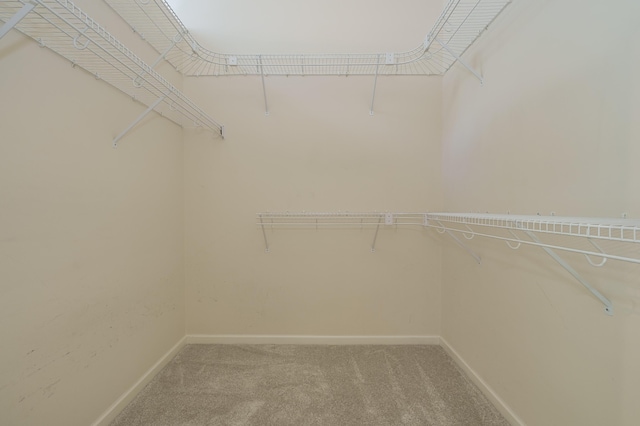 6916 Windsong Way, Kalamazoo, MI 49009 - walk in closet with light carpet