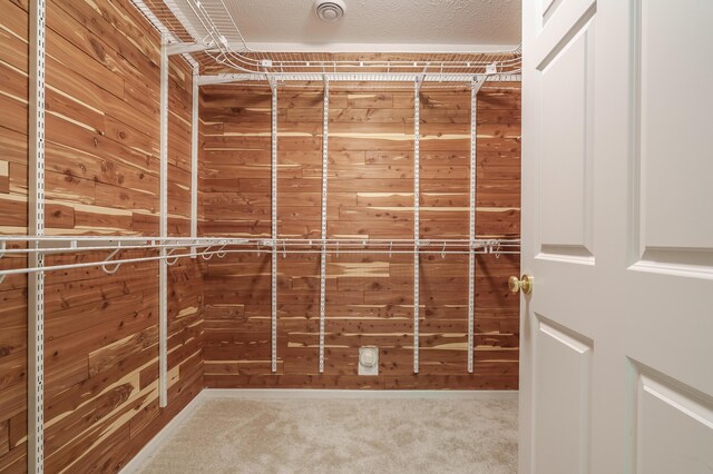 6916 Windsong Way, Kalamazoo, MI 49009 - spacious closet with carpet