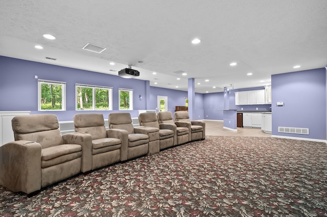 6916 Windsong Way, Kalamazoo, MI 49009 - cinema featuring light colored carpet, recessed lighting, a community bar, and a textured ceiling