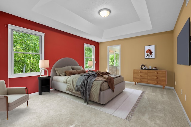 6916 Windsong Way, Kalamazoo, MI 49009 - bedroom featuring carpet floors, a tray ceiling, and ensuite bathroom