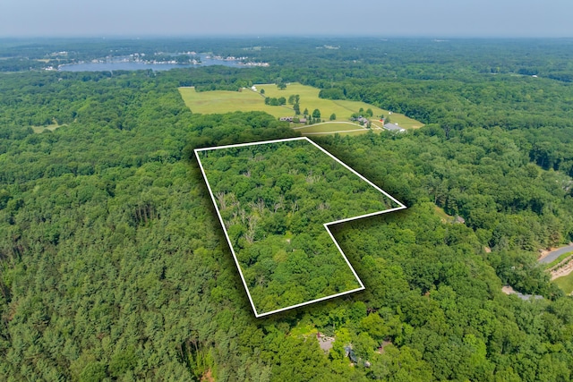 6916 Windsong Way, Kalamazoo, MI 49009 - aerial view of property's location with a forest and property parcel outlined