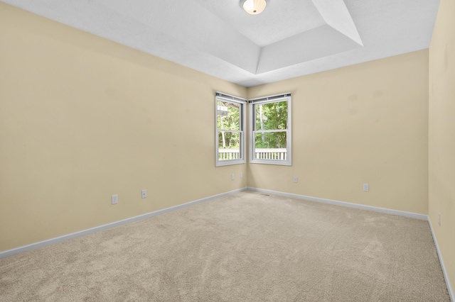 6916 Windsong Way, Kalamazoo, MI 49009 - carpeted empty room with baseboards and a raised ceiling