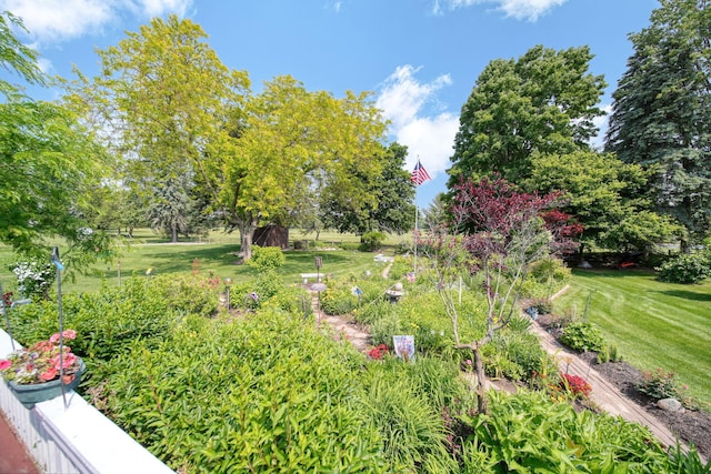 3684 W Howell Rd, Mason, MI 48854 - view of grassy yard with view of scattered trees