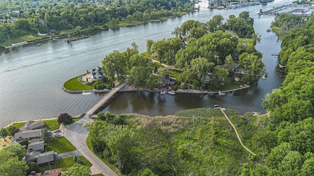 1415 Blackhawk Trl, Benton Harbor, MI 49022 - aerial view of property and surrounding area with a nearby body of water