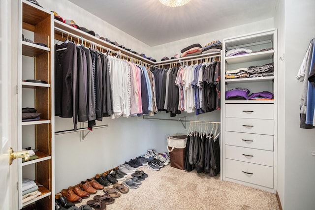 1415 Blackhawk Trl, Benton Harbor, MI 49022 - walk in closet featuring carpet