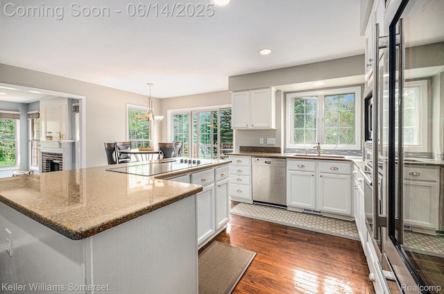 3901 S Creek Dr, Rochester, MI 48306 - kitchen featuring dishwasher, black electric stovetop, plenty of natural light, and recessed lighting