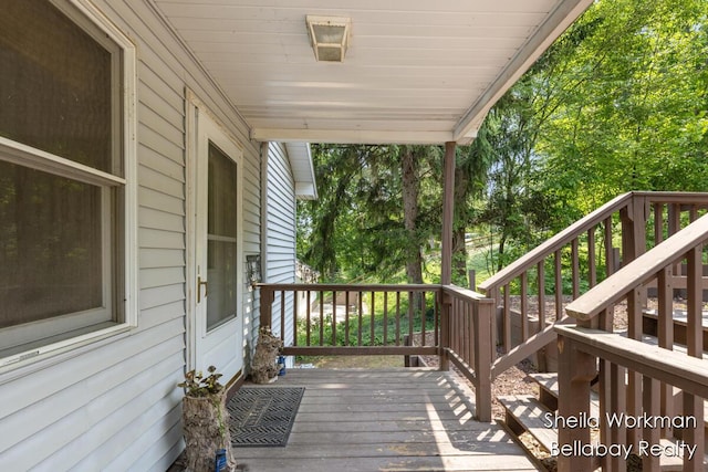 1725 Ottawa Trl, Hastings, MI 49058 - wooden deck with stairway