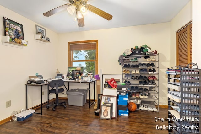 1725 Ottawa Trl, Hastings, MI 49058 - office with wood finished floors and ceiling fan