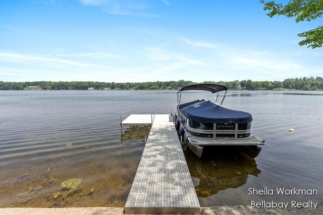 1725 Ottawa Trl, Hastings, MI 49058 - dock area with a water view