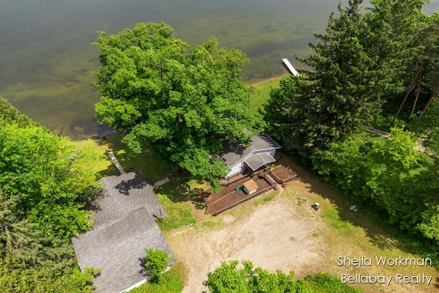 1725 Ottawa Trl, Hastings, MI 49058 - view from above of property