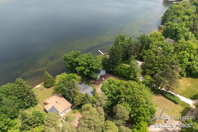 1725 Ottawa Trl, Hastings, MI 49058 - aerial view