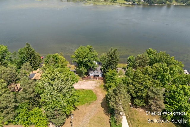 1725 Ottawa Trl, Hastings, MI 49058 - aerial view of a nearby body of water