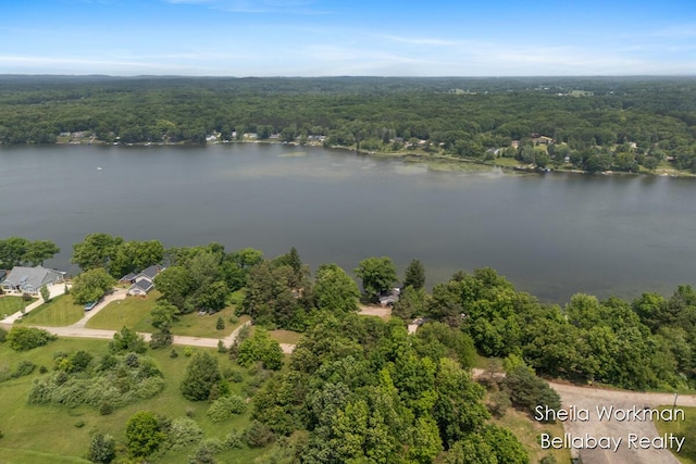 1725 Ottawa Trl, Hastings, MI 49058 - bird's eye view of a forest and a large body of water