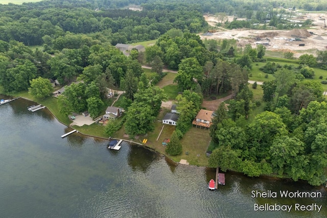 1725 Ottawa Trl, Hastings, MI 49058 - aerial overview of property's location featuring a large body of water