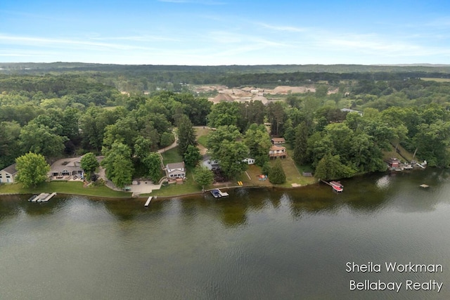 1725 Ottawa Trl, Hastings, MI 49058 - bird's eye view of a large body of water