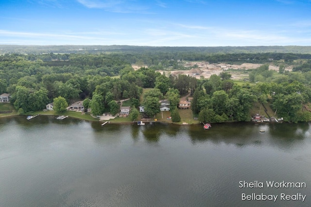 1725 Ottawa Trl, Hastings, MI 49058 - aerial view of property and surrounding area with a large body of water