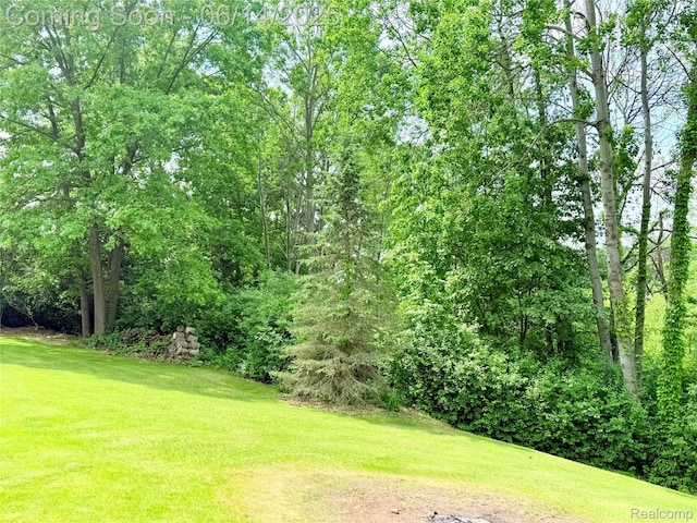 4960 Paula Ave, Clarkston, MI 48346 - view of green lawn