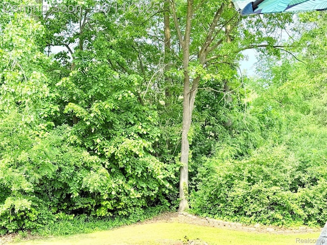 4960 Paula Ave, Clarkston, MI 48346 - view of yard