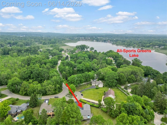 4960 Paula Ave, Clarkston, MI 48346 - aerial view of property's location featuring a large body of water and a heavily wooded area