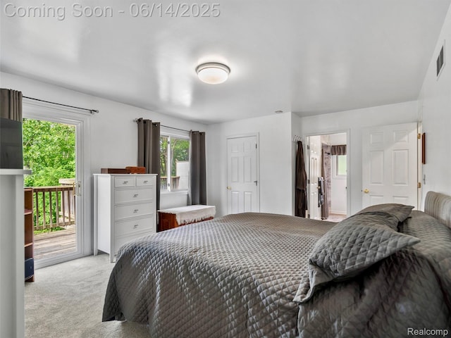 4960 Paula Ave, Clarkston, MI 48346 - bedroom with access to exterior, light carpet, and multiple windows