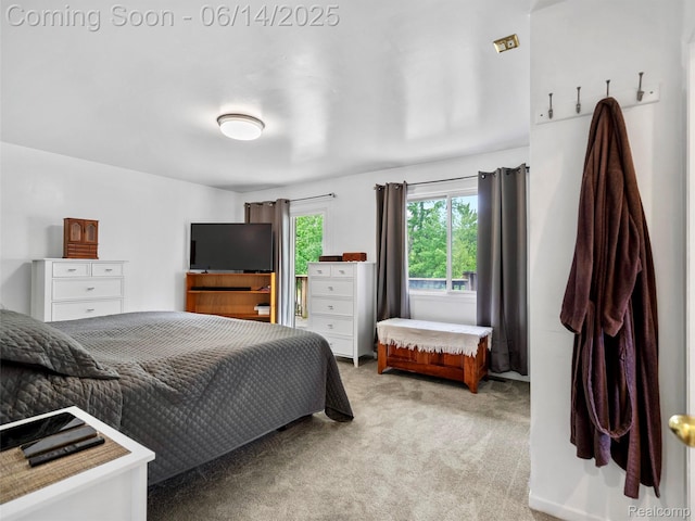 4960 Paula Ave, Clarkston, MI 48346 - bedroom featuring carpet flooring