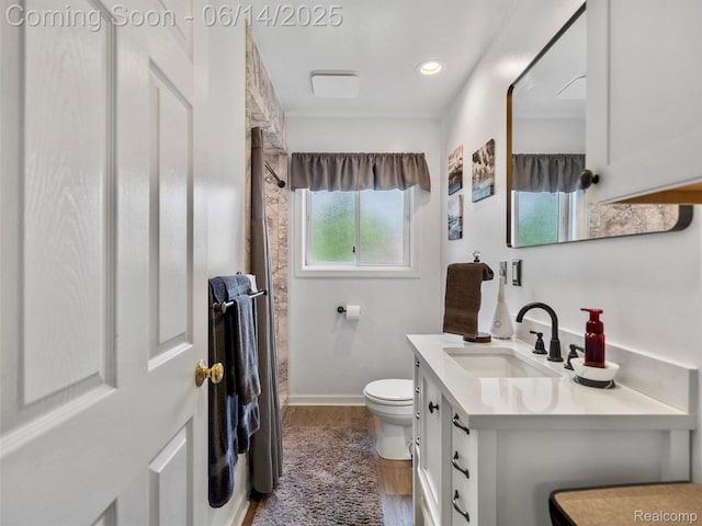 4960 Paula Ave, Clarkston, MI 48346 - bathroom with vanity, wood finished floors, a shower with curtain, and recessed lighting