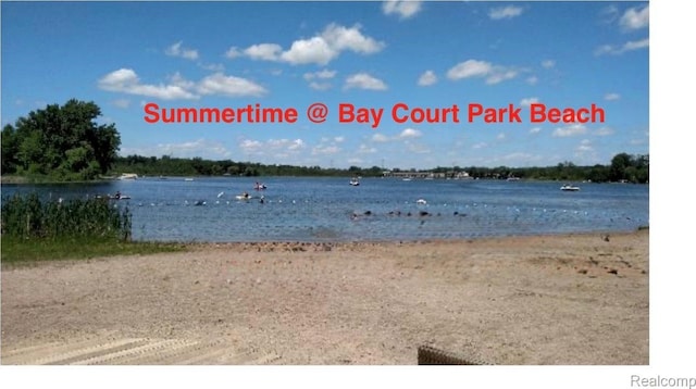 4960 Paula Ave, Clarkston, MI 48346 - water view