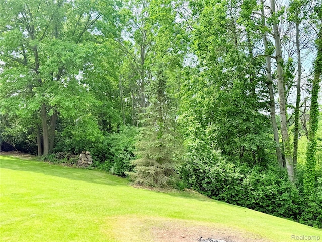 4960 Paula Ave, Clarkston, MI 48346 - view of green lawn