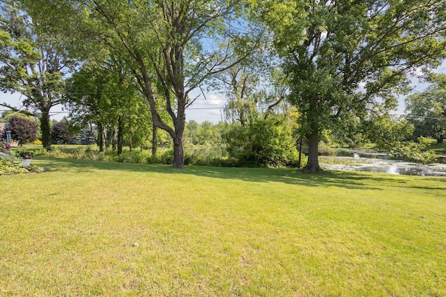 14747 A Dr N, Marshall, MI 49068 - view of green lawn featuring a water view
