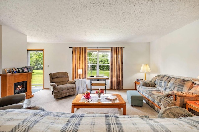 66291 M-62, Edwardsburg, MI 49112 - carpeted living room with plenty of natural light, a textured ceiling, and a glass covered fireplace