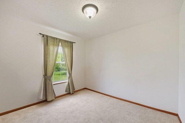 66291 M-62, Edwardsburg, MI 49112 - unfurnished room featuring light carpet and a textured ceiling