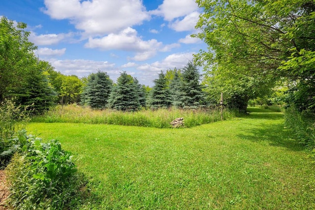 66291 M-62, Edwardsburg, MI 49112 - view of grassy yard