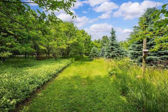 66291 M-62, Edwardsburg, MI 49112 - view of yard