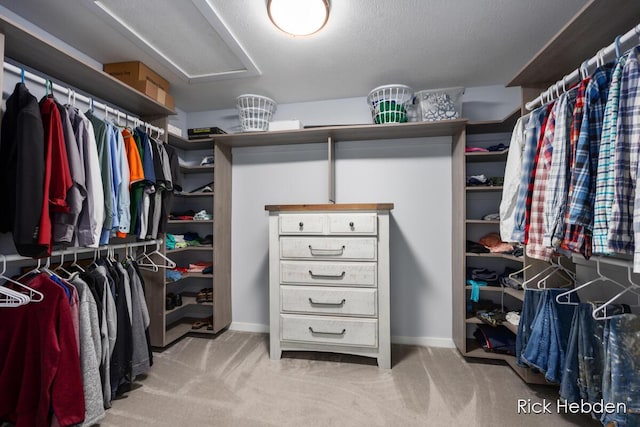 1153 S Edgar Rd, Mason, MI 48854 - spacious closet with carpet floors