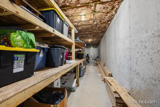 1153 S Edgar Rd, Mason, MI 48854 - view of storage